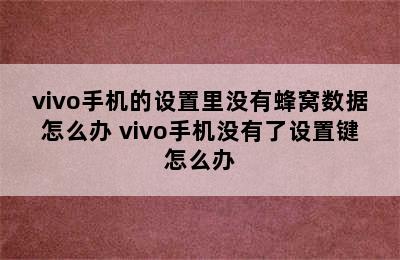 vivo手机的设置里没有蜂窝数据怎么办 vivo手机没有了设置键怎么办